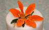Wedding Cake Decorations